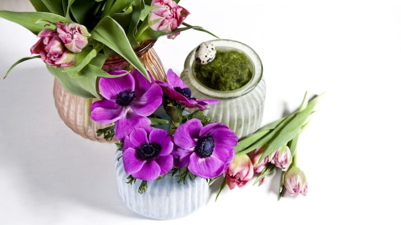 patio con flores