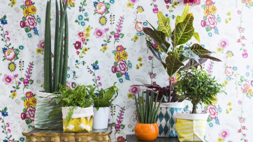 estilo mexicano con plantas