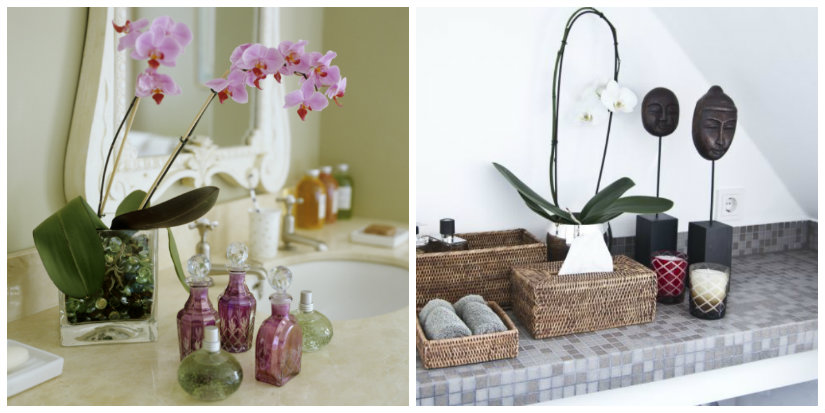 feng shui en el baño flores y plantas