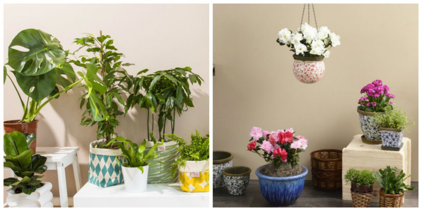 Decoración de terrazas en áticos con plantas