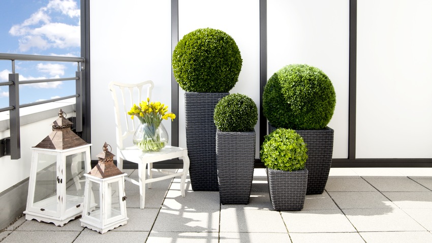 Decoración de balcones con plantas