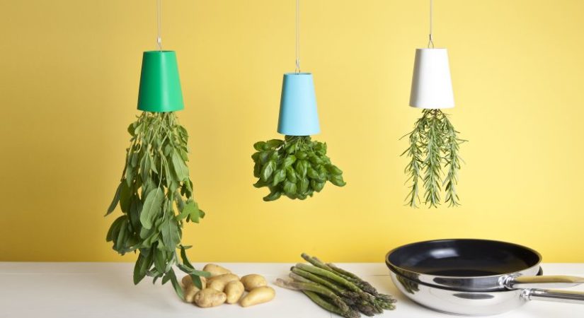 huerto ecológico en casa colgante