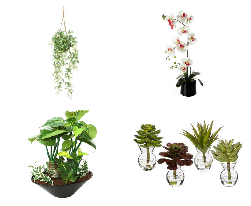 oficinas minimalistas plantas