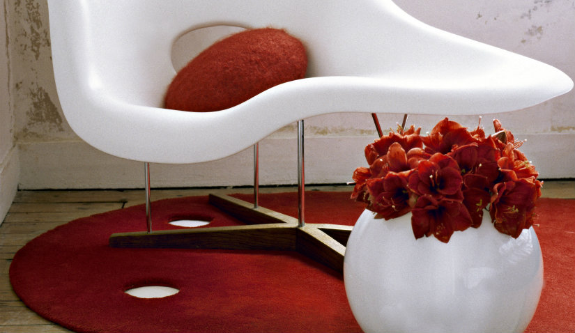 plantas rojas de interior