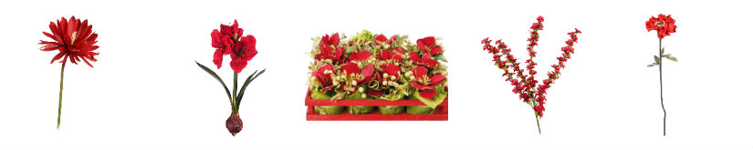 plantas rojas variedades