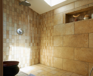 paroi de douche paroi_de_douche