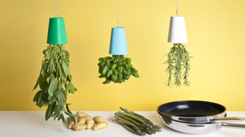 support pour plantes