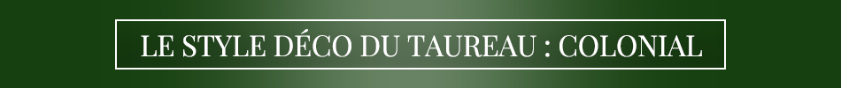 Taureau Taurus_banner_small_FR