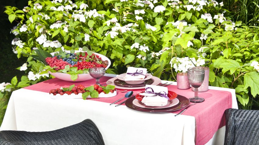 repas en extérieur - fruits et assiettes - nappe blanche