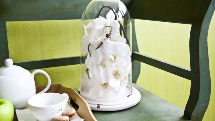 Guirlande de fleurs blanches sous cloche en verre