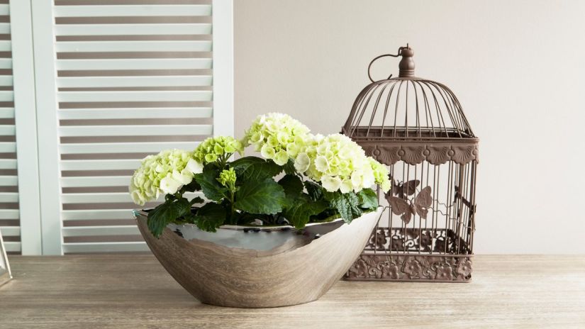 cage à oiseaux, cage à oiseaux décorative, cage à oiseaux déco, pot de fleurs