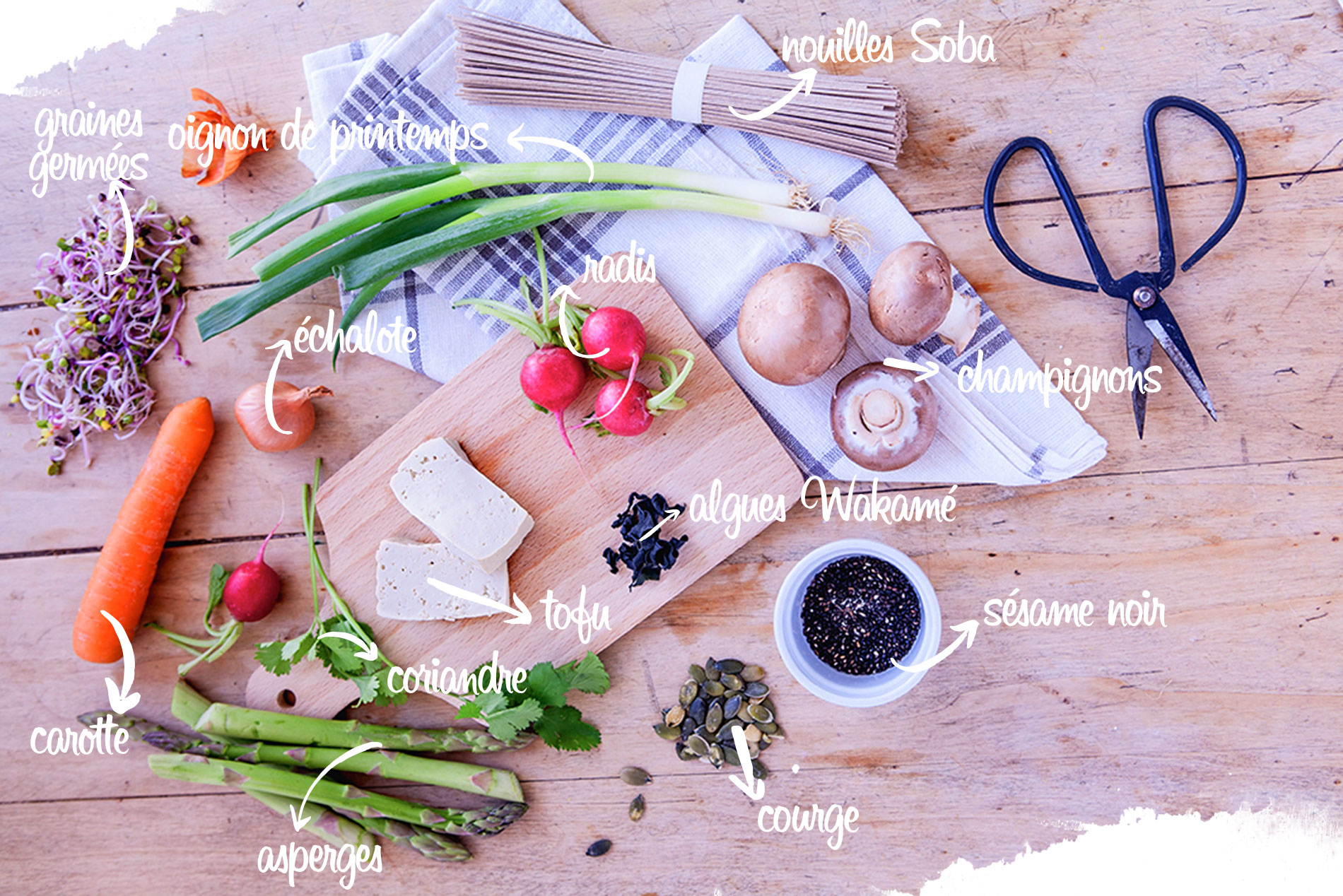 nouilles soba vegan de malak, recette vegan, recette japonaise, ingrédients