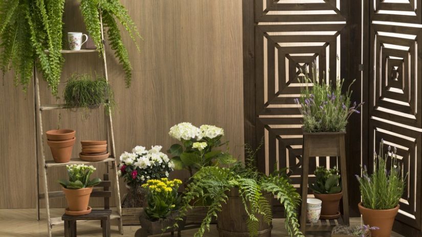 Jardinière en bois exotique