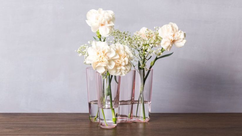 Vase transparent de forme originale