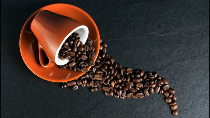 caffettiera a cialde