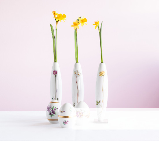 pasqua pasqua
