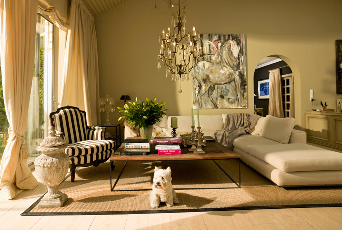 Toro_banner_interior_1_IT
