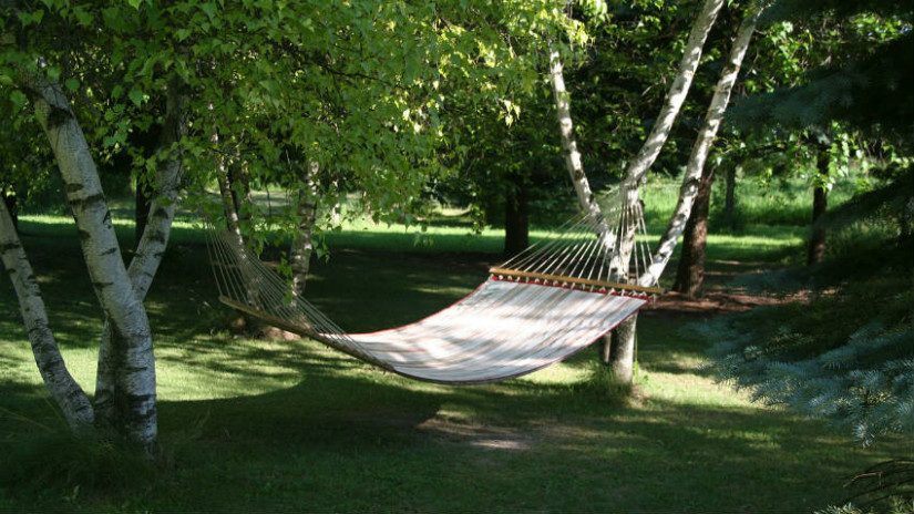 amache dondoli chaise longue sdraio in legno amaca da giardino