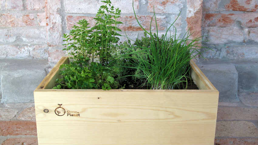 grow the planet