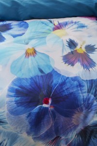 Bedding House Blue