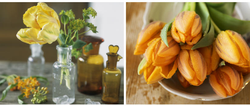 bladhark lente tulpen oranje geel vaasjes