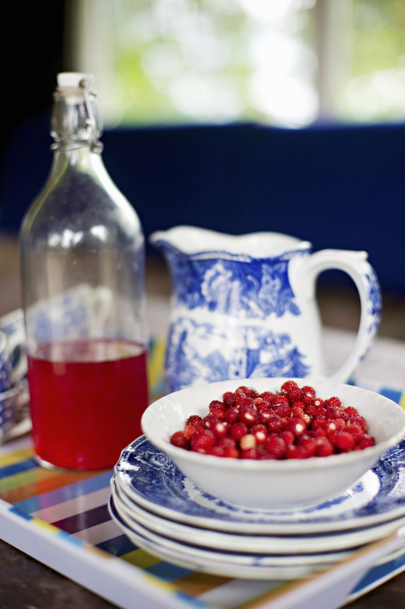 delfts blauw zomers servies met bessen en wijn
