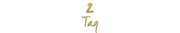 Christmas-NL-header-step-2