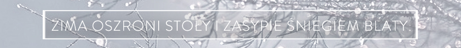 banner new frozen