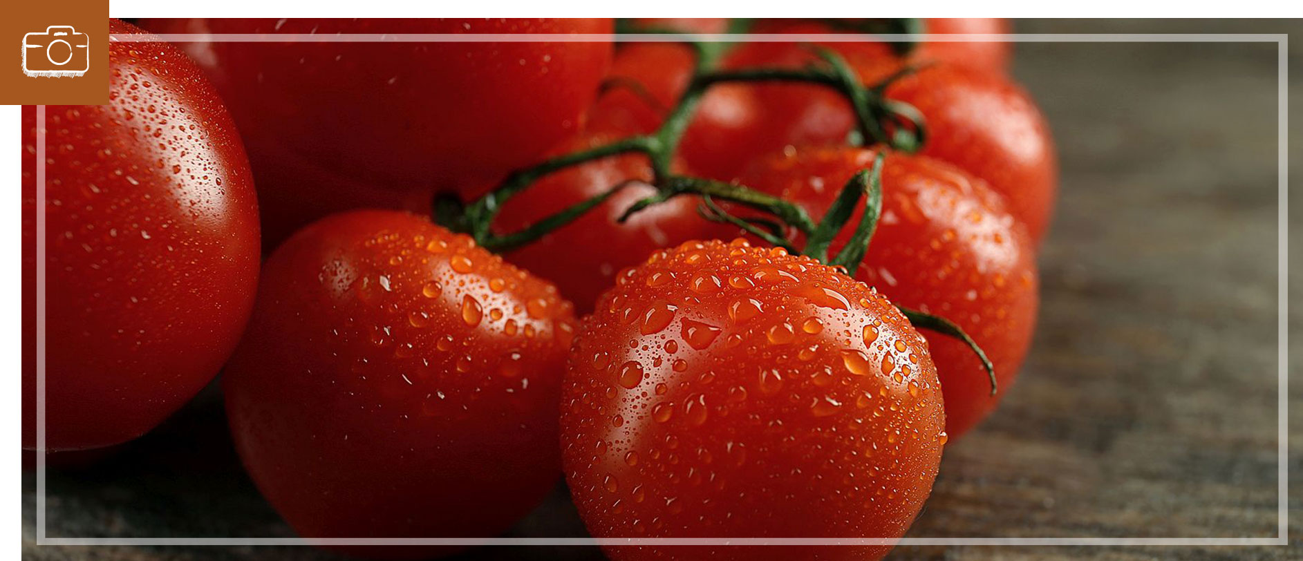 Food_Photo_PL_bnr5