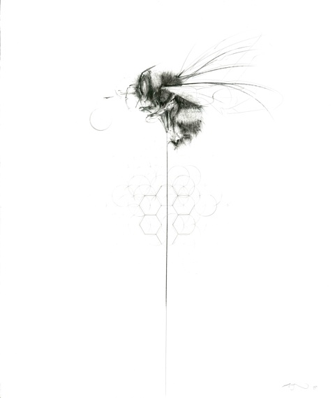 Balancing Bee by Jessica Albarn