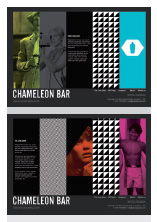 Chameleon Bar