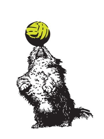 The Blizzard's dog mascot