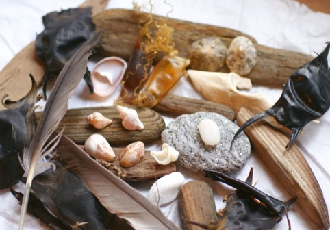 Autumn beach combing