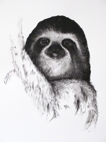 a very cute sloth