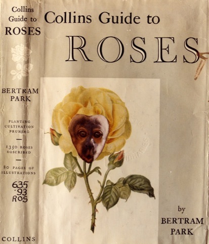 Collins Guide to Roses