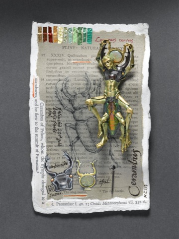 Kevin Coates, CerambusMounted pin brooch 2007