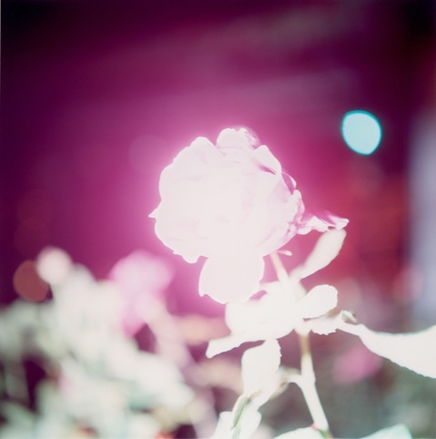 Rinko Kawauchi