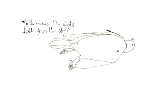 Jennifer Cardno - Animation