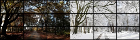 David Hockney Nov. 7th, Nov. 26th 2010, Woldgate Woods, 11.30 am and 9.30 am Film still
