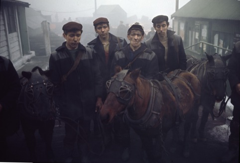 Miners and pit ponies, County Durham, photographed by John Bulmer, March 28, 1965