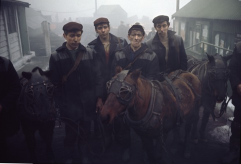 Miners and pit ponies, County Durham, photographed by John Bulmer, March 28, 1965 