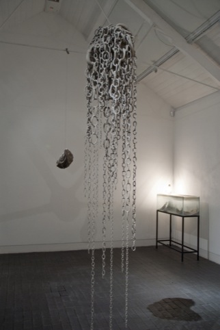 Vanitas, Phoebe Cummings 2011