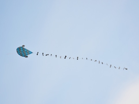 Community Kite Project