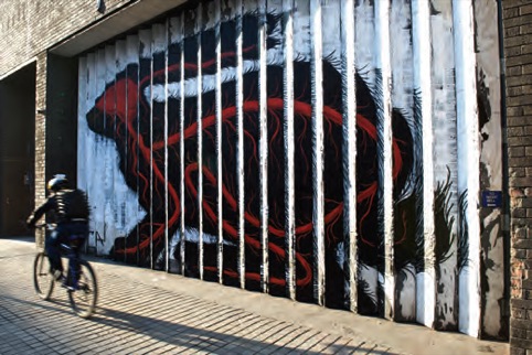 ROA: Hypnagogia