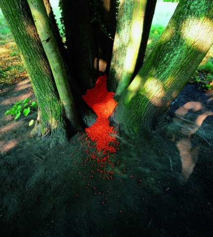 NILS-UDO, Untitled, 1999