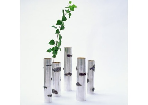 Birch Trunk by Olle Olls