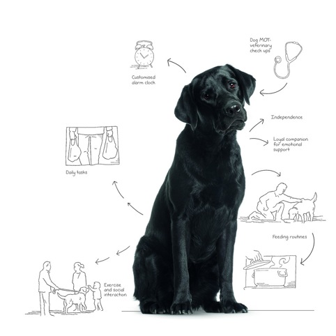 The Dementia Dog project, by Alzheimer Scotland, Glasgow School of Art and Dogs for the Disabled