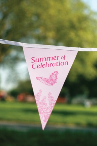 Bunting close-up