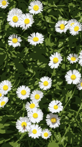 Daisies 2012, Continuous computer animation 