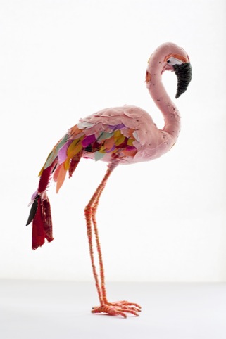 Abigail Brown's Flamingo